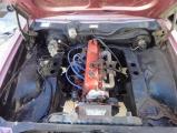 Optimized-LH_Torana_10.JPG