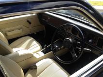 IMG_3138a.jpg
