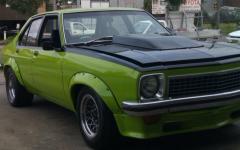 torana 069 (2).jpg