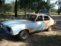 gumtree 001.JPG