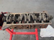 IMG_1696 resize.jpg