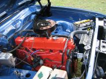 IMG_1264.JPG