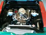 IMG_0160 800x600.JPG
