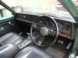 torana_5.jpg
