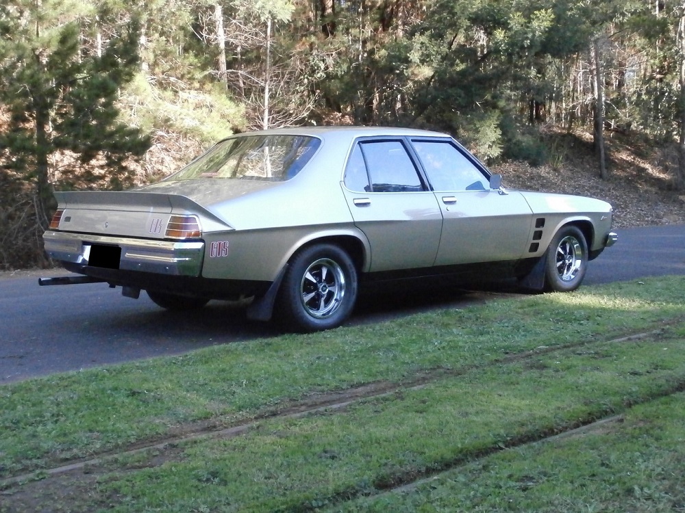 monaro picture 3.jpg